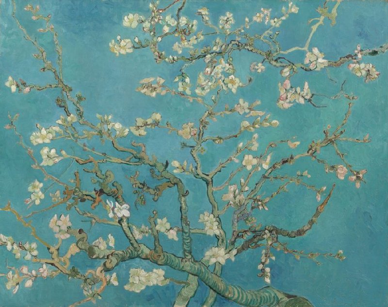 Saving Vincent: Vincent van Gogh, Almond Blossom, 1890, Van Gogh Museum, Amsterdam, Netherlands.
