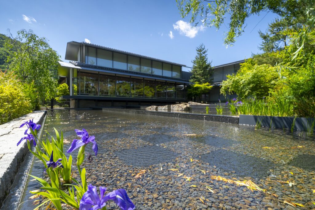 Fukuda Art Museum: Basin with Japanese water irises in the Fukuda Art Museum, 2024, Kyoto, Japan. Courtesy of the Fukuda Art Museum.
