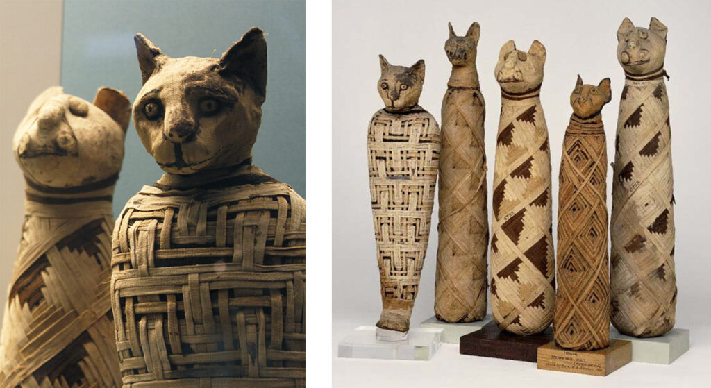 Sacred Cats in Ancient Egypt Cat Mummies at the British Museum