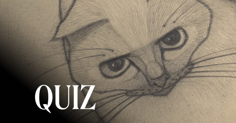 Head of a Cat, 1918, Kröller-Müller Museum, Otterlo, Netherlands. Detail.
