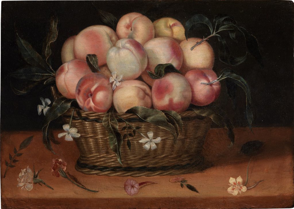 Fede Galizia: Fede Galizia, Wicker Basket with Peaches, Jasmine Flowers, Rose and Carnation. Wikimedia Commons (public domain).
