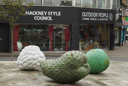 veronica ryan turner prize