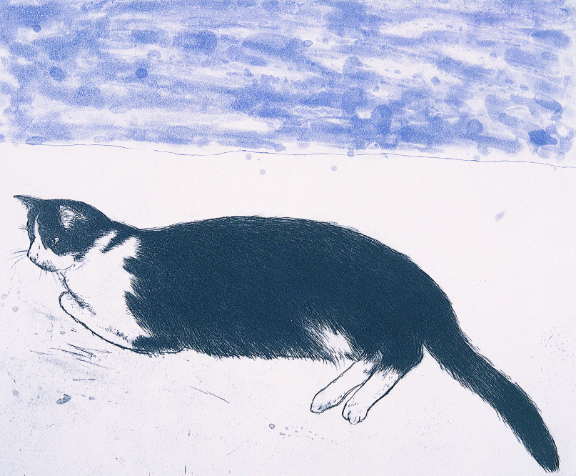 cat paintings: Elisabeth Blackadder, Fred, 2003, Scottish National Gallery, Edinburgh, UK.
