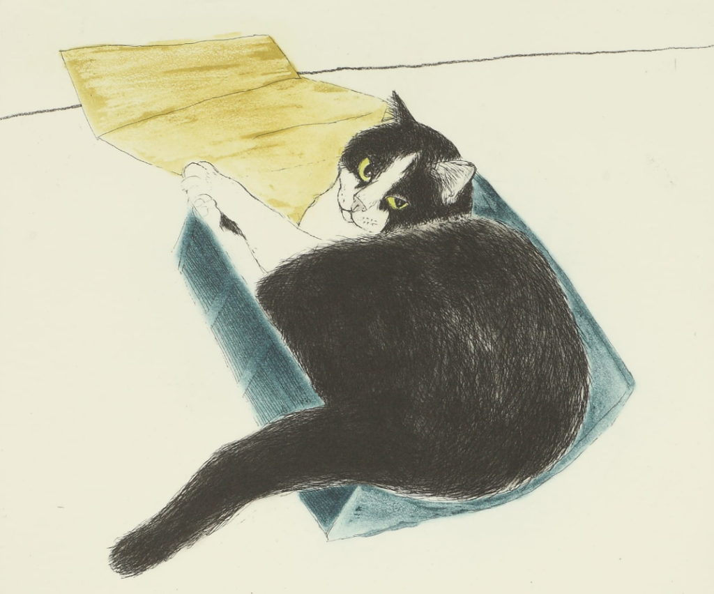 cat paintings: Elisabeth Blackadder, Fred in a Box, 2003, Royal Scottish Academy, Edinburgh, UK.
