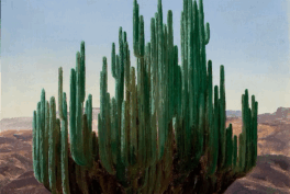 Cardon State of Oaxaca. José María Velasco, Cardón, State of Oaxaca, 1887, National Museum of Art, Mexico City, Mexico. Detail.